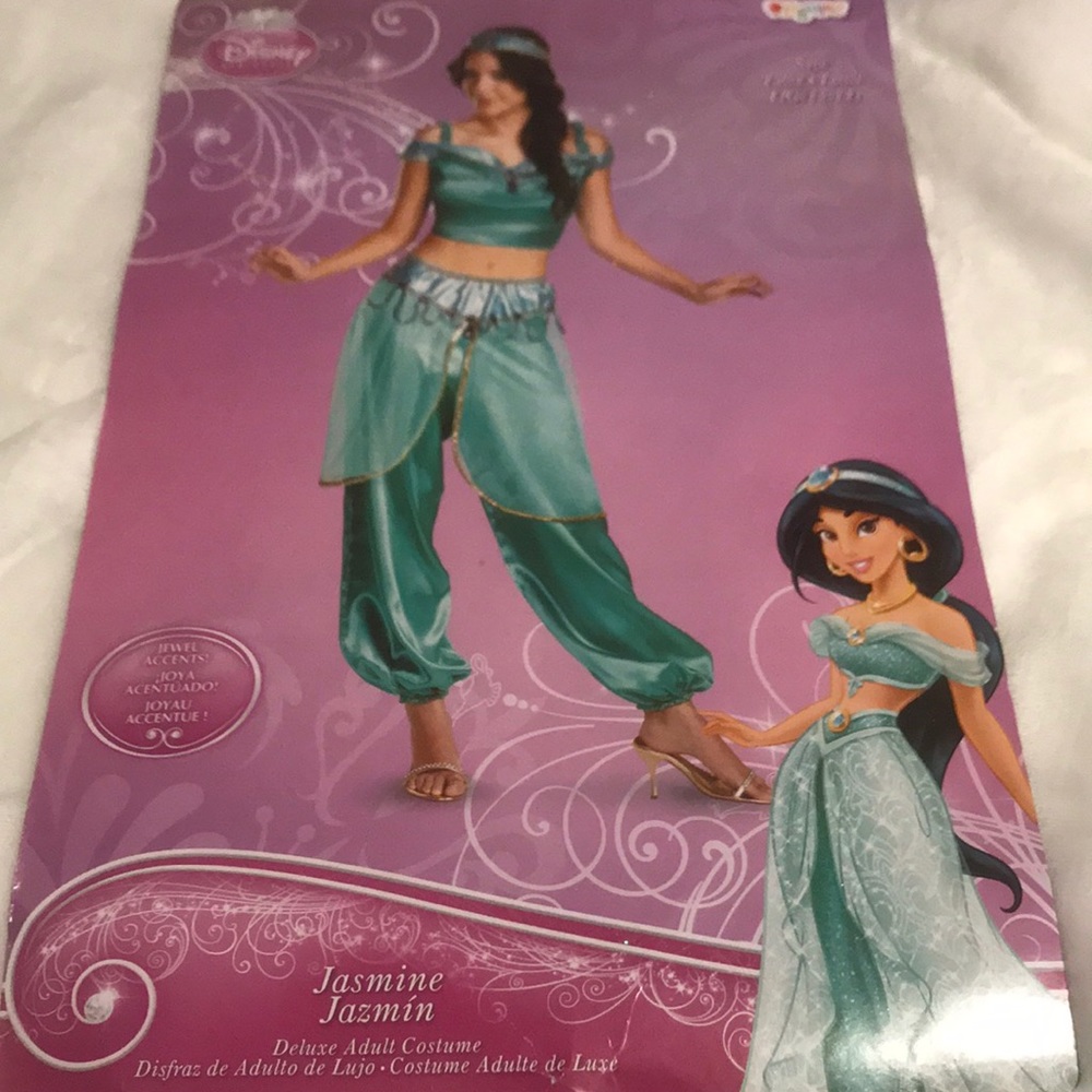 Princess Jasmine Adult Costume 🧞‍♂️